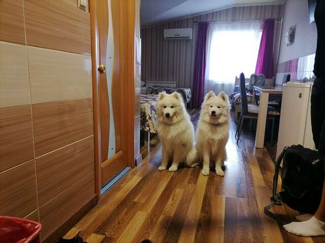 Отель Хуторок Улан-Удэ-29